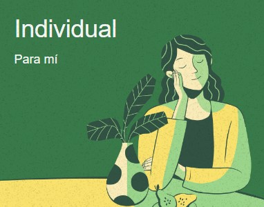 Terapia individual en un entorno acogedor